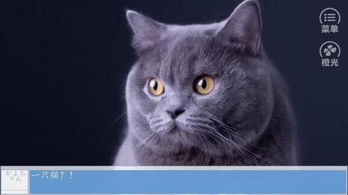 热点爆料蓝猫视频下载安装,揭秘热门爆料背后的操作指南